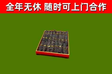 漯河市回收海参